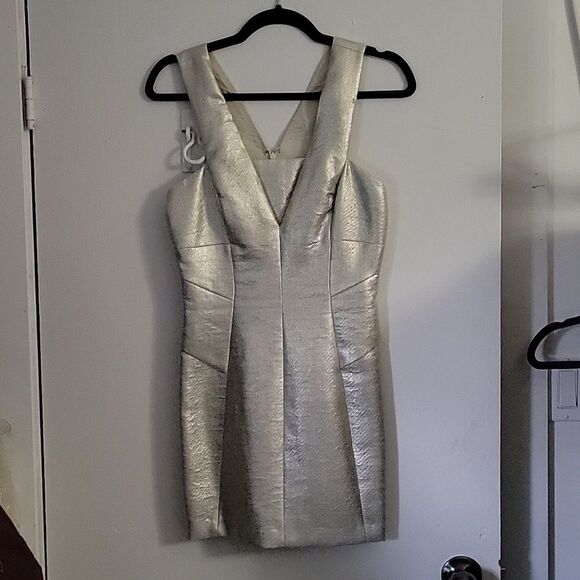 * * ROBERT RODRIGUEZ Silver Party Dress - Picture 1 of 9